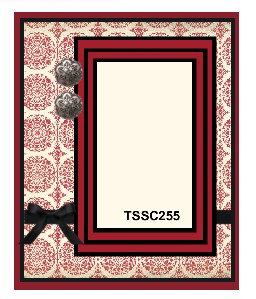 TSSC255