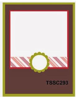 TSSC293