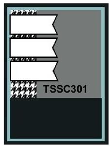 TSSC301