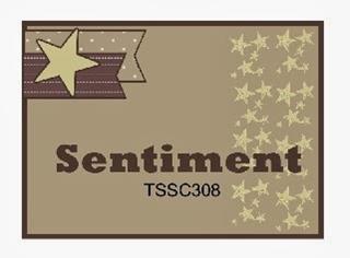 TSSC308