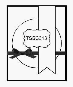 TSSC313