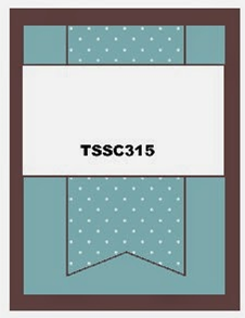 TSSC315