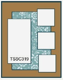TSSC319