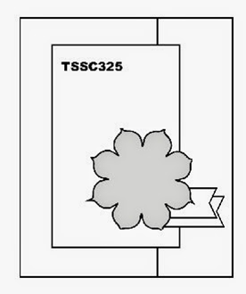 TSSC325