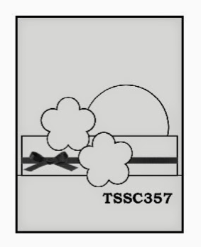 TSSC357