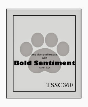TSSC360